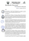 Vista preliminar de documento R.D.N°419-2023-HGJ-DE