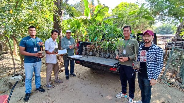 Sullana Participa Activamente En La II Cruzada Verde Nacional