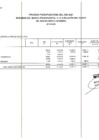 Vista preliminar de documento EJECUCION DE GASTO FTE. FTO. RDR. POR ESPECIFICA DE GASTO 26. (ADQUISICION DE ACTIVOS NO FINANCIEROS). NOVIEMBRE 2021