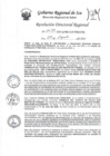 Vista preliminar de documento RDR-1155-2023