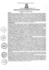 Vista preliminar de documento rgm5102021gmampmn