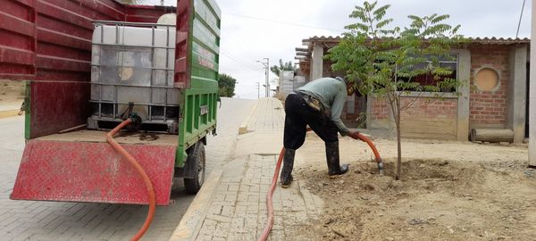 Realizan Limpieza Y Mantenimiento De Las Áreas Verdes