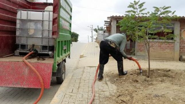 Realizan Limpieza Y Mantenimiento De Las Áreas Verdes