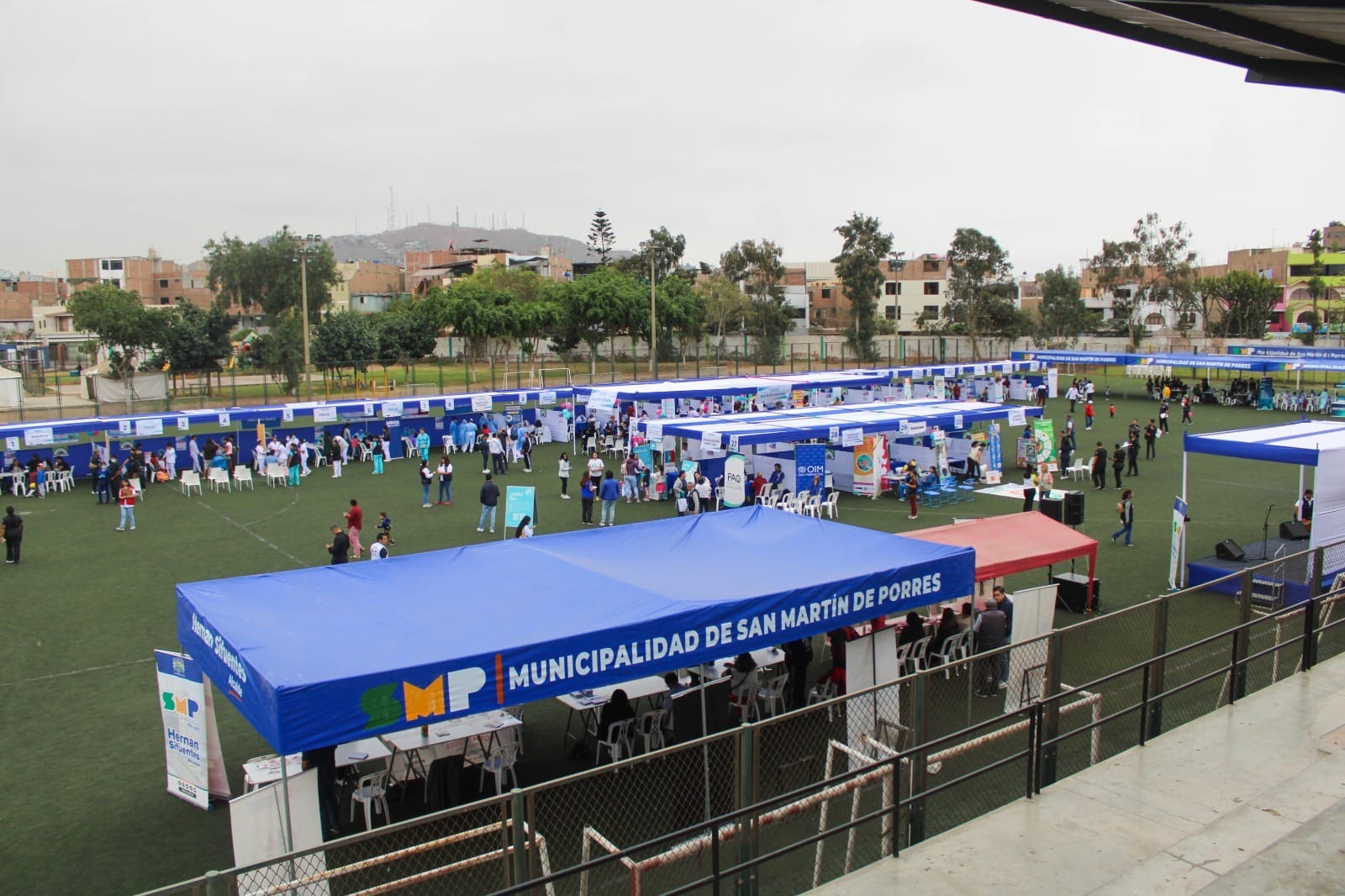 Megaferia - 3