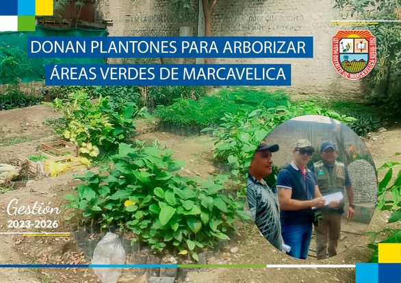 Arborizarán Áreas Verdes