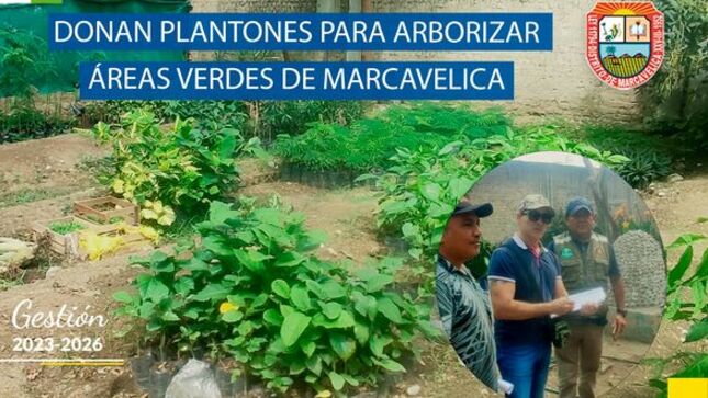 Arborizarán Áreas Verdes