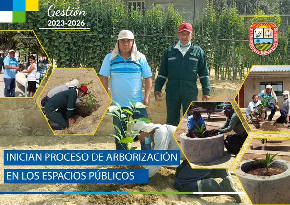 Inician Proceso De Arborización