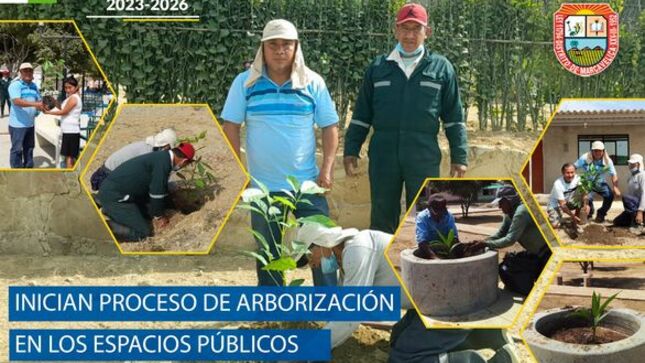 Inician Proceso De Arborización