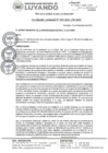 Vista preliminar de documento RESOLUCION GERENCIAL 059