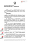 Vista preliminar de documento RM 000339-2023 - MC
