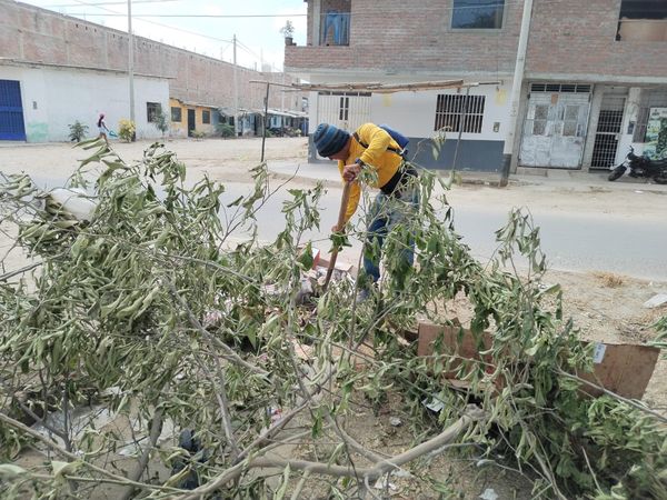 Municipalidad De Sullana Intensifica Acciones De Limpieza