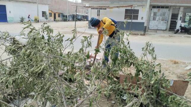 Municipalidad De Sullana Intensifica Acciones De Limpieza