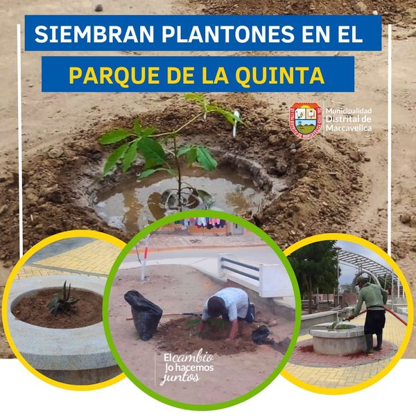 Siembran Plantones En Parque De La Quinta
