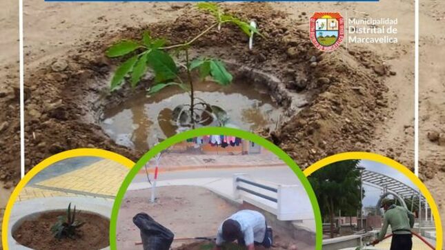 Siembran Plantones En Parque De La Quinta
