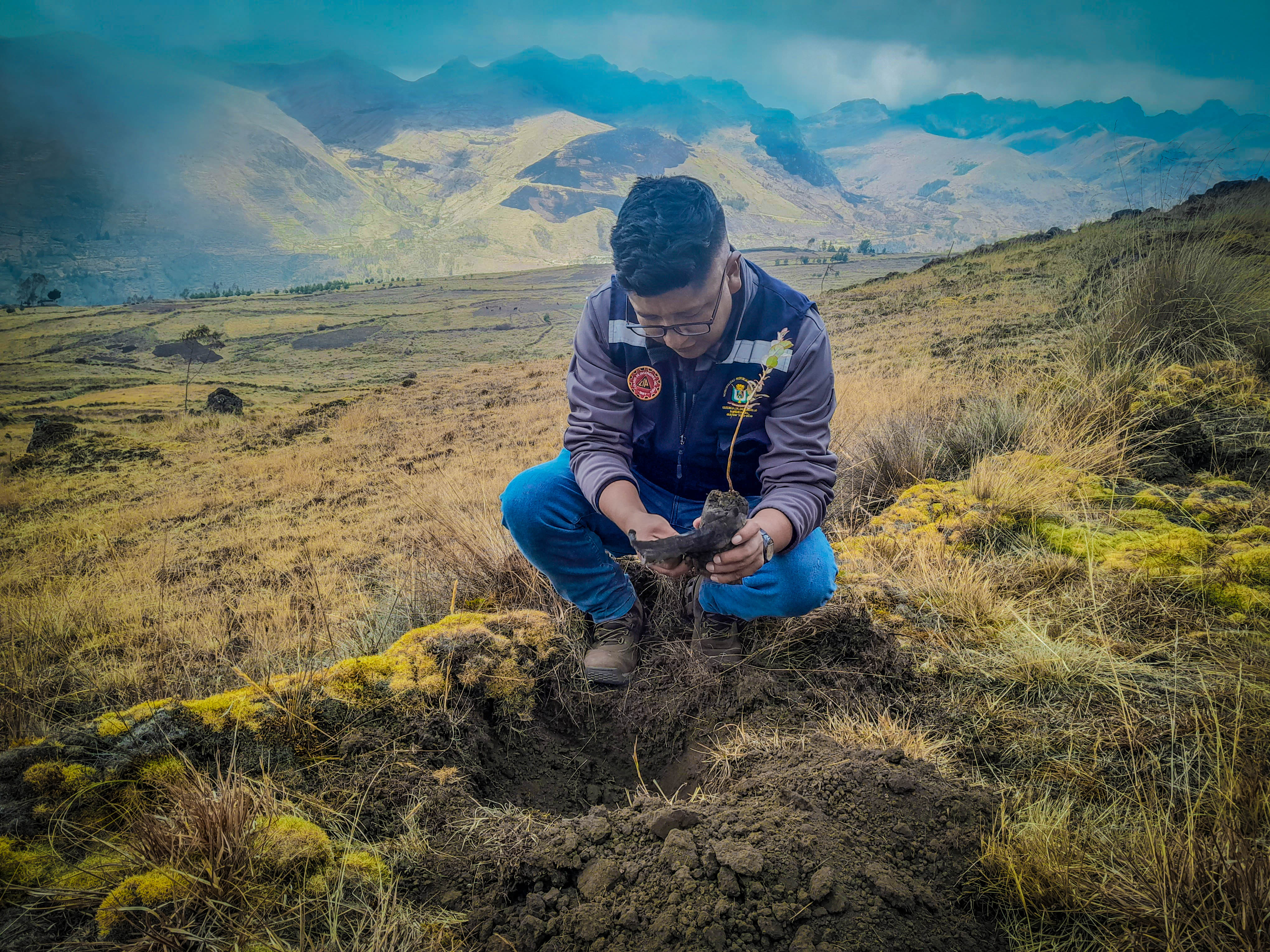500 árboles plantados de las especies; pinos, queñuales y eucaliptos.