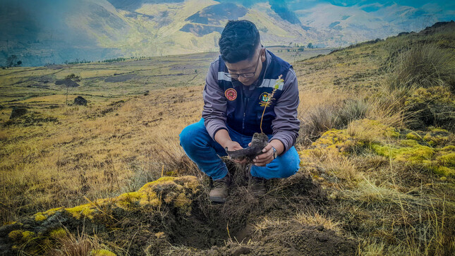 500 árboles plantados de las especies; pinos, queñuales y eucaliptos.