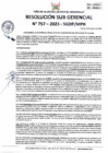 Vista preliminar de documento RSG 757-2023-SGDP