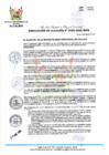 Vista preliminar de documento RA 355-2023-MPHH