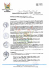 Vista preliminar de documento RA 357-2023-MPHH