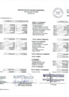 Vista preliminar de documento Estado de Situación Financiera - Julio 2019