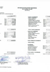 Vista preliminar de documento Estado de Situación Financiera - Junio 2019