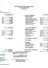 Vista preliminar de documento Estado de Situación Financiera - Marzo 2019