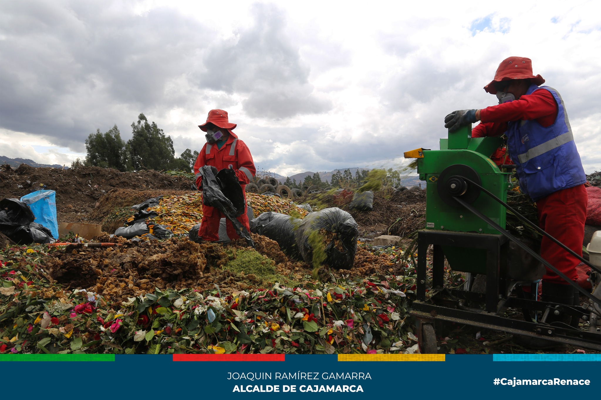 La gerencia de Desarrollo Ambiental de la Municipalidad Provincial de Cajamarca está llevando a cabo una revolucionaria iniciativa en el manejo de residuos orgánicos con su Planta de Valorización de Residuos Orgánicos, ubicada estratégicamente en el vivero municipal de Venecia. Su principal objetivo es la producción de compost de alta calidad.
🪴El compost es un valioso producto derivado de la descomposición de residuos sólidos orgánicos que beneficia el enriquecimiento del suelo, tanto en entornos interiores como exteriores. La comuna local está comprometida en la distribución de este compost a diversas instituciones públicas y privadas, así como en eventos de reciclaje que se llevan a cabo en toda la ciudad.
☢️La producción de este producto final requiere la recolección de una variedad de materiales orgánicos, que incluyen restos de frutas, vegetales, cáscaras de frutos secos, cascaras de huevos, flores marchitas, posos de café, y bagazo de caña, entre otros. Es importante destacar que algunas empresas conscientes del medio ambiente, como Campo Vida, contribuyen enviando sus residuos orgánicos, como cáscaras de mango y aguaymanto, mientras que Batricorp proporciona taka de café.
🗣El Ing. Teófilo Bueno Santillán, encargado del Programa de Segregación de Residuos Sólidos Orgánicos e Inorgánicos, informa que la planta actualmente genera un impresionante volumen de 30 toneladas mensuales de compost de alta calidad. Este valioso producto se utiliza como abono en actividades agrícolas, jardinería y el cuidado de plantas, contribuyendo al bienestar del entorno natural de Cajamarca.