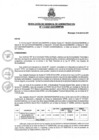 Vista preliminar de documento rga1132021gagmmpmn