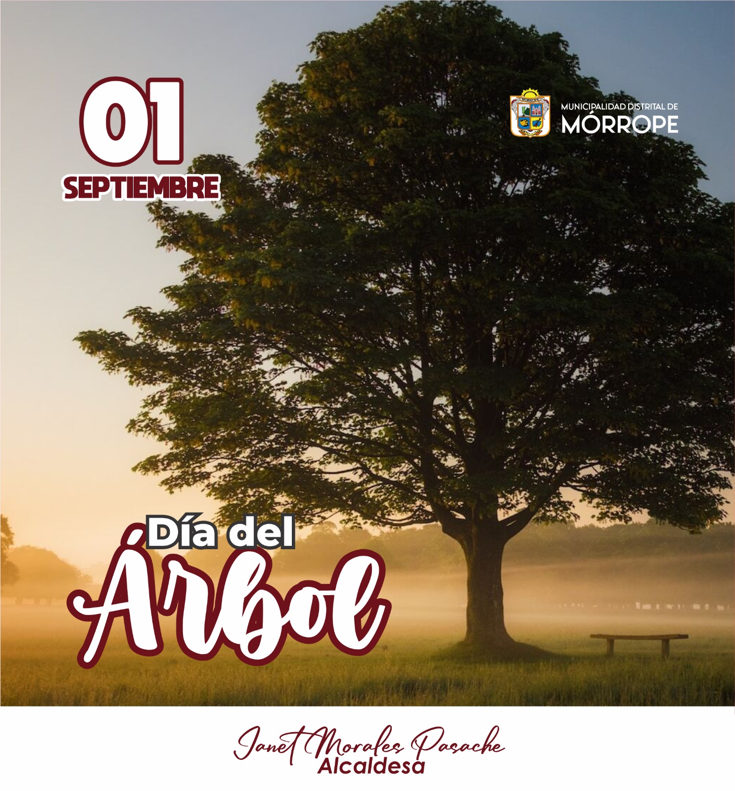dia del arbol