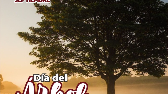 dia del arbol