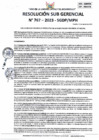Vista preliminar de documento RSG 767-2023-SGDP