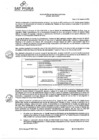 Vista preliminar de documento RGG Nº 980-2023-SATP