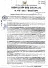 Vista preliminar de documento RSG 776-2023-SGDP
