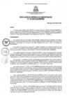 Vista preliminar de documento rga1332021gagmmpmn