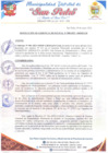 Vista preliminar de documento resolucion 008