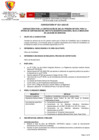 Vista preliminar de documento 04 Convocatoria 033 OCONT