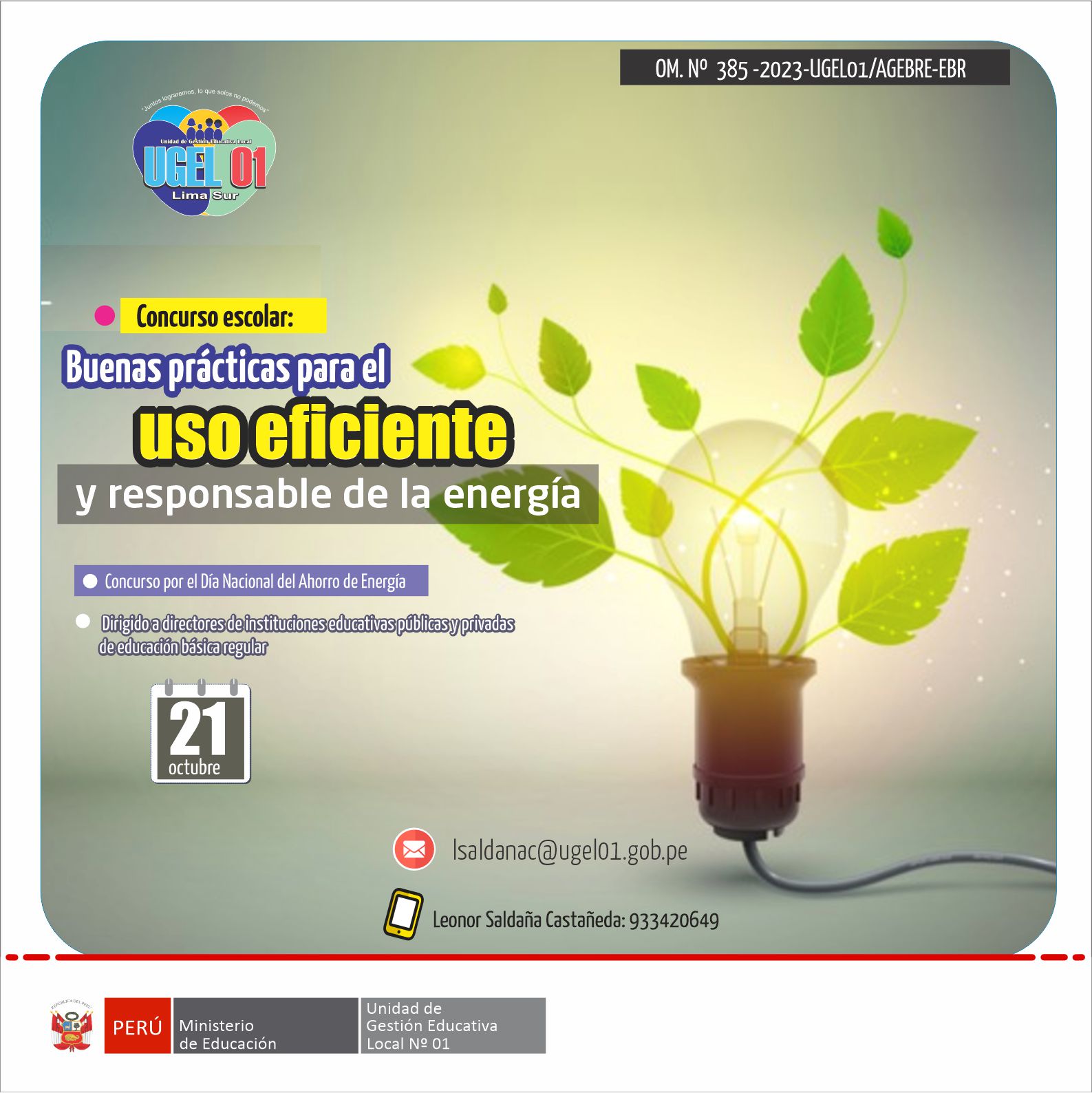 Concurso escolar: Buenas prácticas para el uso eficiente y responsable de la energía