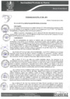 Vista preliminar de documento ORDENANZAS MUNICIPALES N°0238-MPH-2022