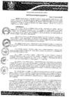 Vista preliminar de documento DECRETO DE ALCALDIA N°15-MPH-2020