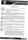 Vista preliminar de documento ORDENANZA MUNICIPAL N°172-MPH-2020