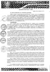 Vista preliminar de documento ORDENANZA MUNICIPAL N°177-MPH-2020