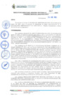 Vista preliminar de documento RDRS 367-2023 