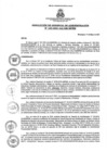 Vista preliminar de documento rga1532021gagmmpmn