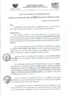 Vista preliminar de documento RD- 2696