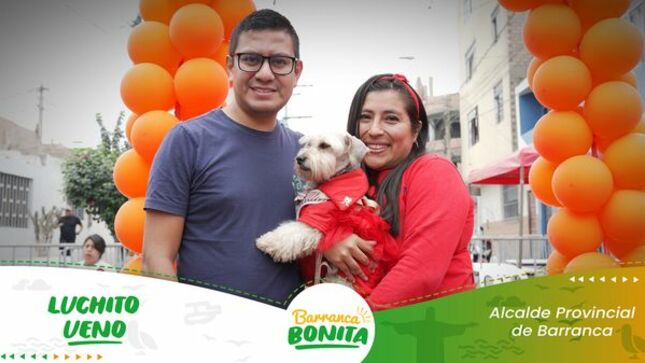mascotas