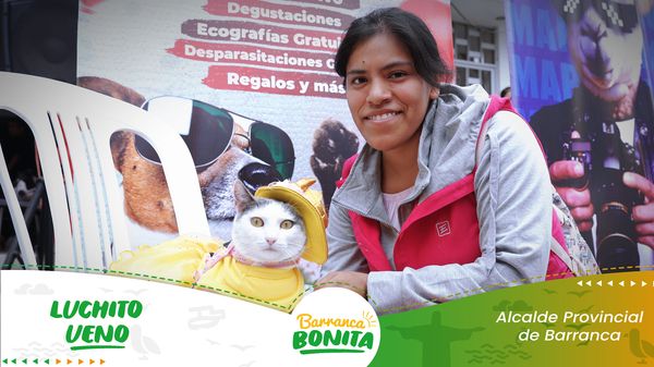 mascotas