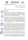 Vista preliminar de documento R.D.N°451-2023-HGJ-DE