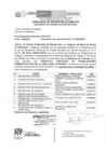 Vista preliminar de documento ver documento
