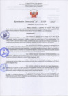 Vista preliminar de documento RD-VERA109