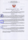 Vista preliminar de documento RD-TORRES113